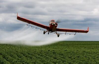 Pesquisas confirmam que a doença está ligada à utilização do agrotóxico nas lavouras.