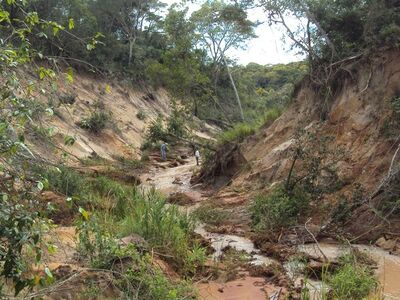 Rompimento de represa no fim de 2016 provocou degradação