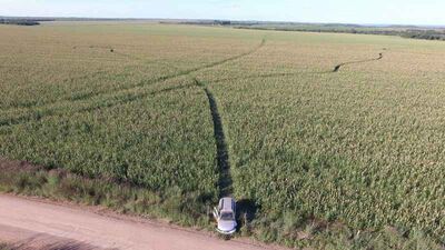 Viram Éder pedir carona para caminhoneiros