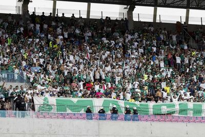 Torcida do Palmeiras na Arena Pernambuco durante jogo com o Sport