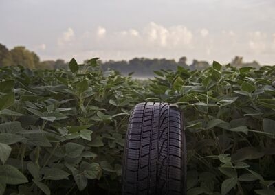 Óleo de soja também diminui o o consumo de energia na fabricação dos pneus
