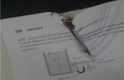 Estudante diz ter evitado tiro nas costas graças a livro na mochila