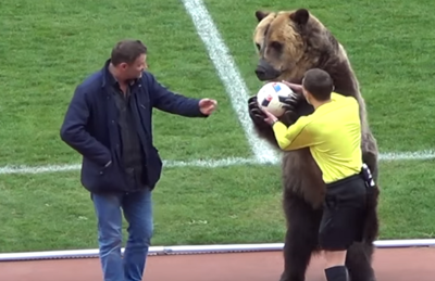 Urso entrega bola para árbitro ao fim de apresentação na Rússia