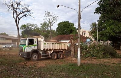 Caminhão da Prefeitura de Coxim recolhendo as árvores derrubadas