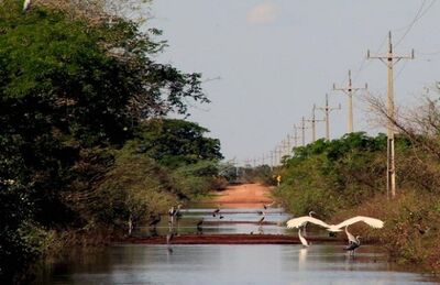 MS-228 parcialmente inundada no Porto da Manga, no Pantanal de Mato Grosso do Sul.