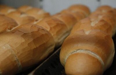 Quilo do pãozinho chega a quase R$ 14, segundo pesquisa do Procon