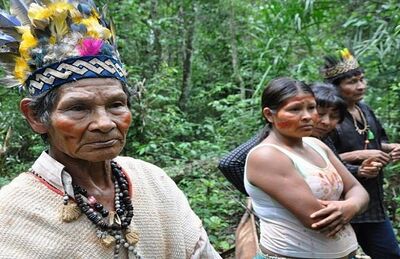 Moradores da Laranjeira-Ñanderu tiveram garantido o direito de permanecer em área de reserva legal