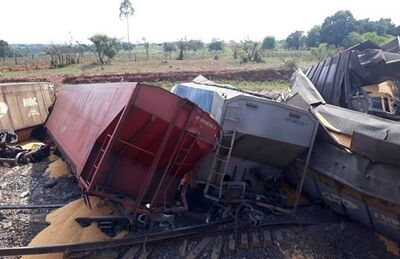 Trem descarrila e 24 vagões carregados com milho tombam em Aparecida do Taboado