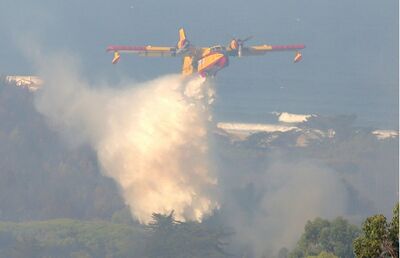Avião atua no combate a incêndio perto da cidade de Charneca, em Portugal, neste domingo (7)