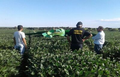 O avião caiu em uma plantação de soja a cerca de 20 quilômetros de São Gabriel