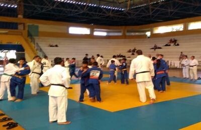Judocas da base de MS treinam para as próximas competições
