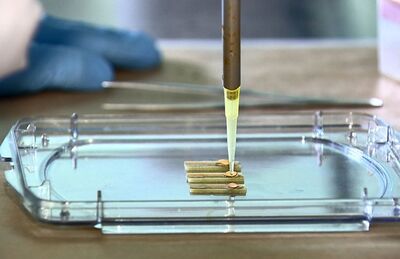 Teste usa urina em sensor desenvolvido no CTI Renato Archer, em Campinas, para detectar vírus da zika com precisão. —