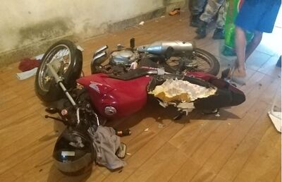 Cachorro destruiu parte de moto da família