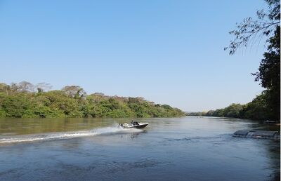 Rio Coxim deixa de ser destino para pescadores esportivos