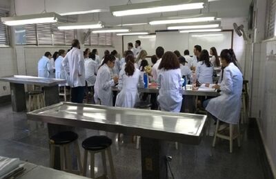 Estudantes visitam laboratório de anatomia na UFF Nova Friburgo, no RJ