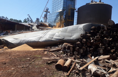 Silo com 900 toneladas de milho desmoronou em fazenda de MS