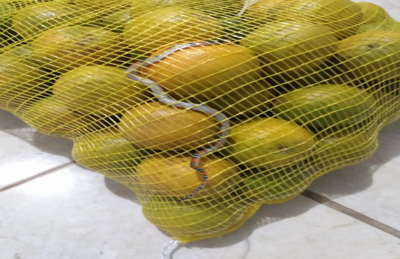 Consumidora de Mogi das Cruzes afirma ter encontrado cobra em saco de laranja