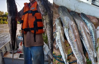 Fotos e vídeos da pescaria foram postados nas redes sociais