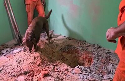 Cães do Corpo de Bombeiros encontraram local onde estava a ossada