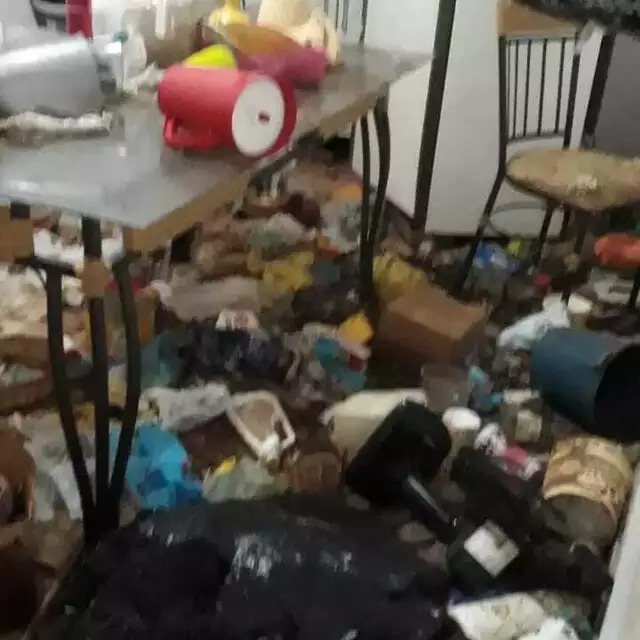 Casa estava lotada de lixo, onde pelo menos 15 gatos viviam. Foto: Divulgação