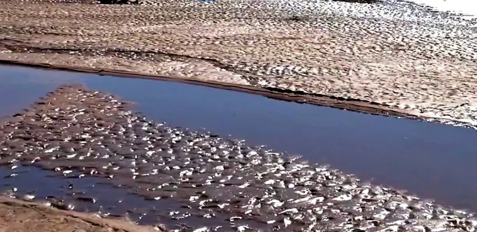Especialistas apontam que somente com ações conjuntas a situação do Taquari pode ser revertida. Foto: Reprodução/TVMorena