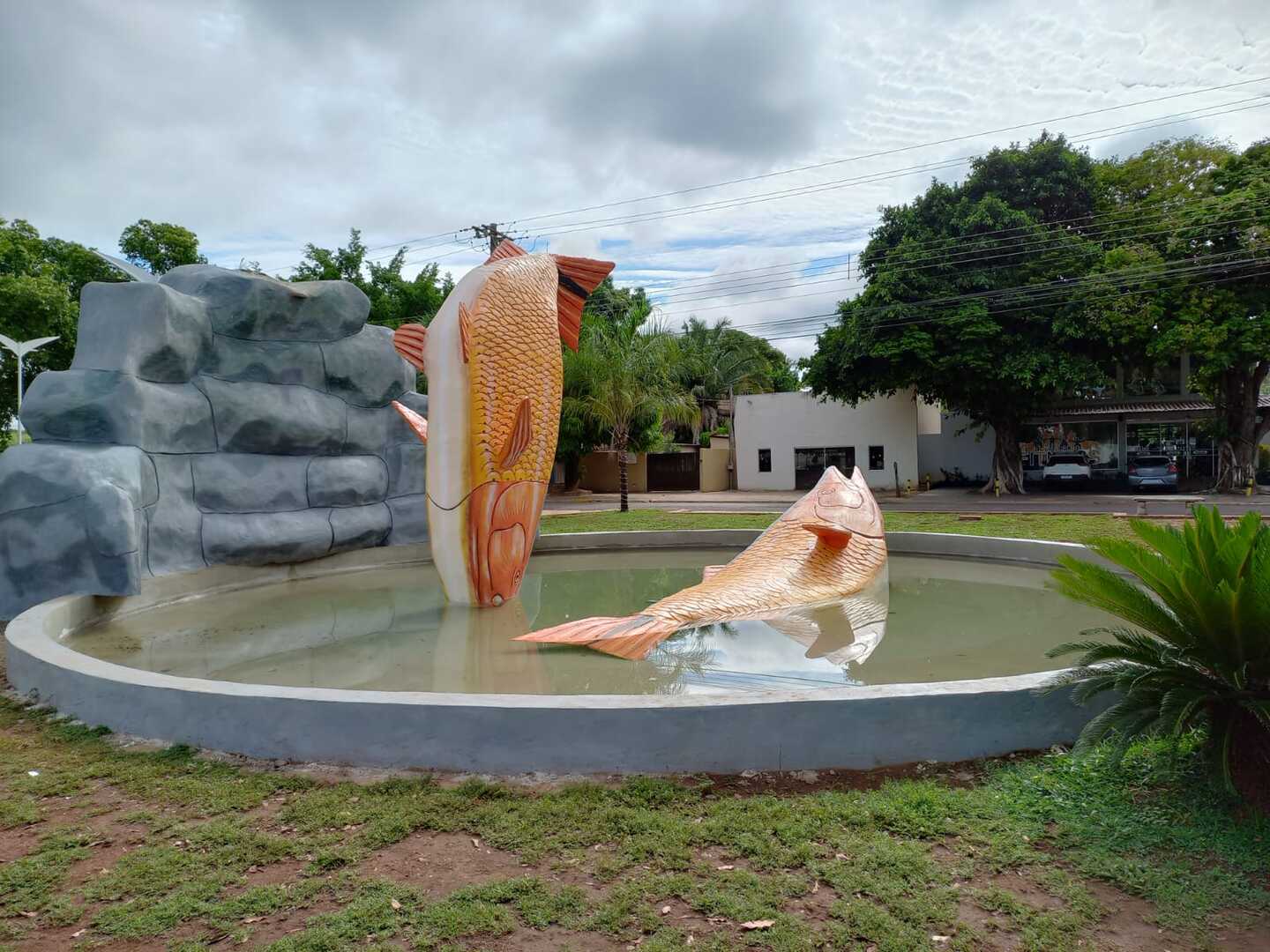 Foto: Valdeir Simão/Diário X