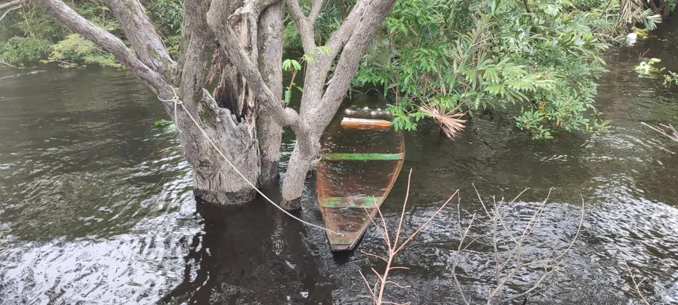Canoa do casal foi encontrada presa em árvore com peixes podres. Foto: Divulgação