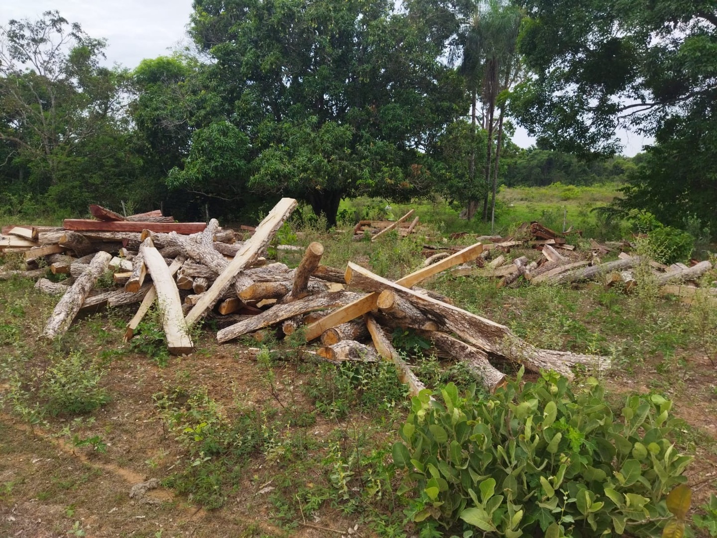 Foto: Divulgação AssCom PMA