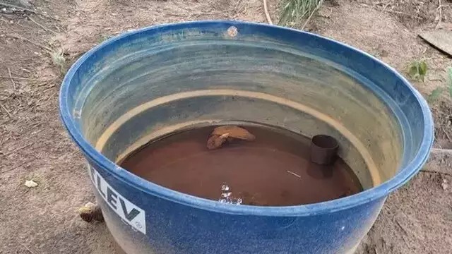 Água que os trabalhadores consumiam era armazenada em caixa d'água. Foto: Divulgação/Polícia Federal