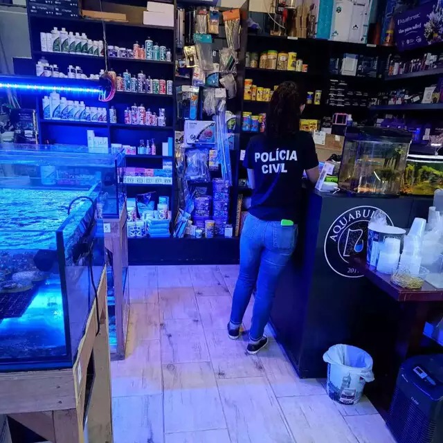 Policiais cumpriram mandado de busca e apreensão na loja de animais exóticos do suspeito. Foto: Divulgação/Polícia Civil RS