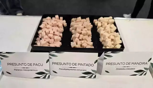 Presuntos feitos de peixes pacu, pintado e mandirá. Foto: Arquivo pessoal