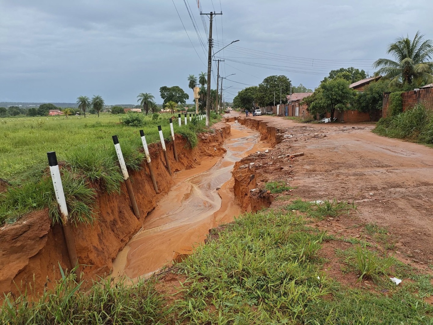 Fotos: Valdeir Simão/Diário X 