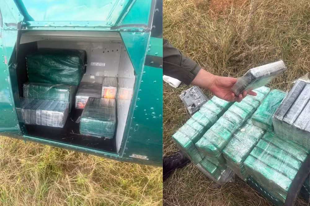 A quantidade total de droga apreendida foi de 345,8 quilos. Foto: DOF/Divulgação
