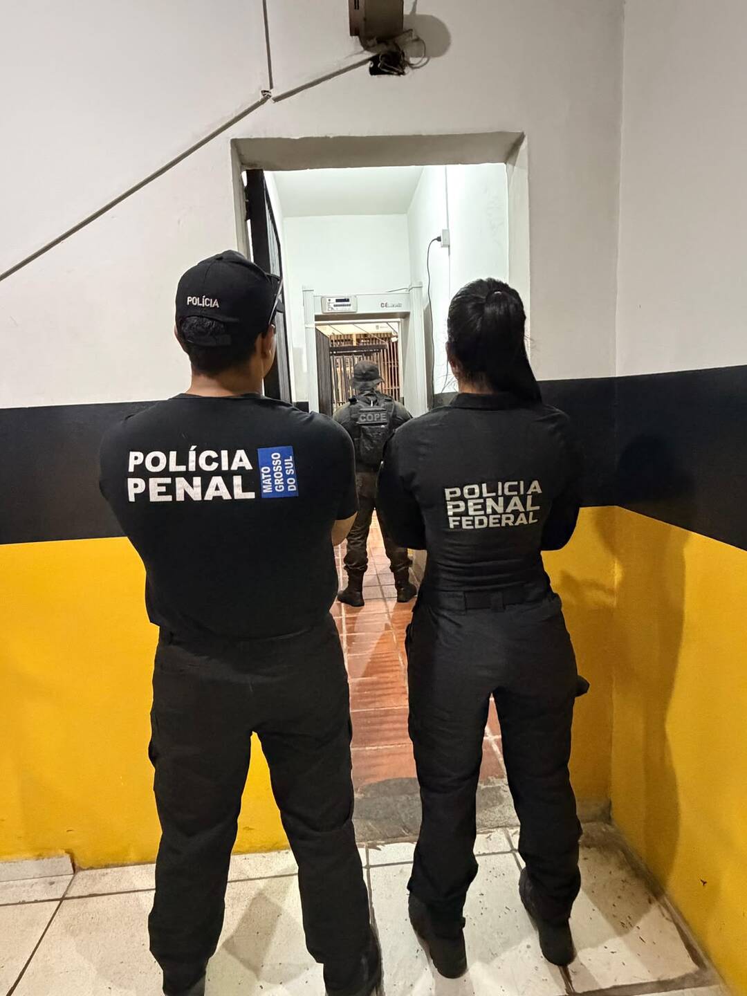 Fotos: Divulgação 