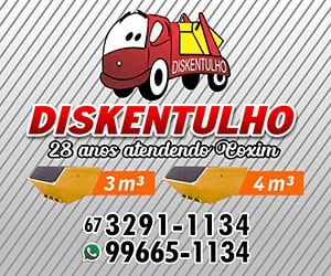 Disk