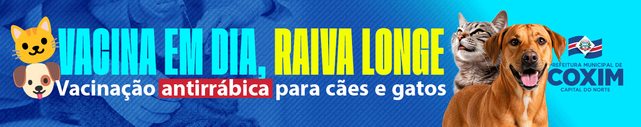 Contato