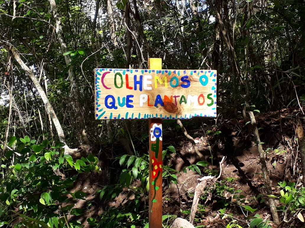 Imagens do Cristo Redentor do Pantanal em Coxim Fotos: Valdeir Simão - Diário X.